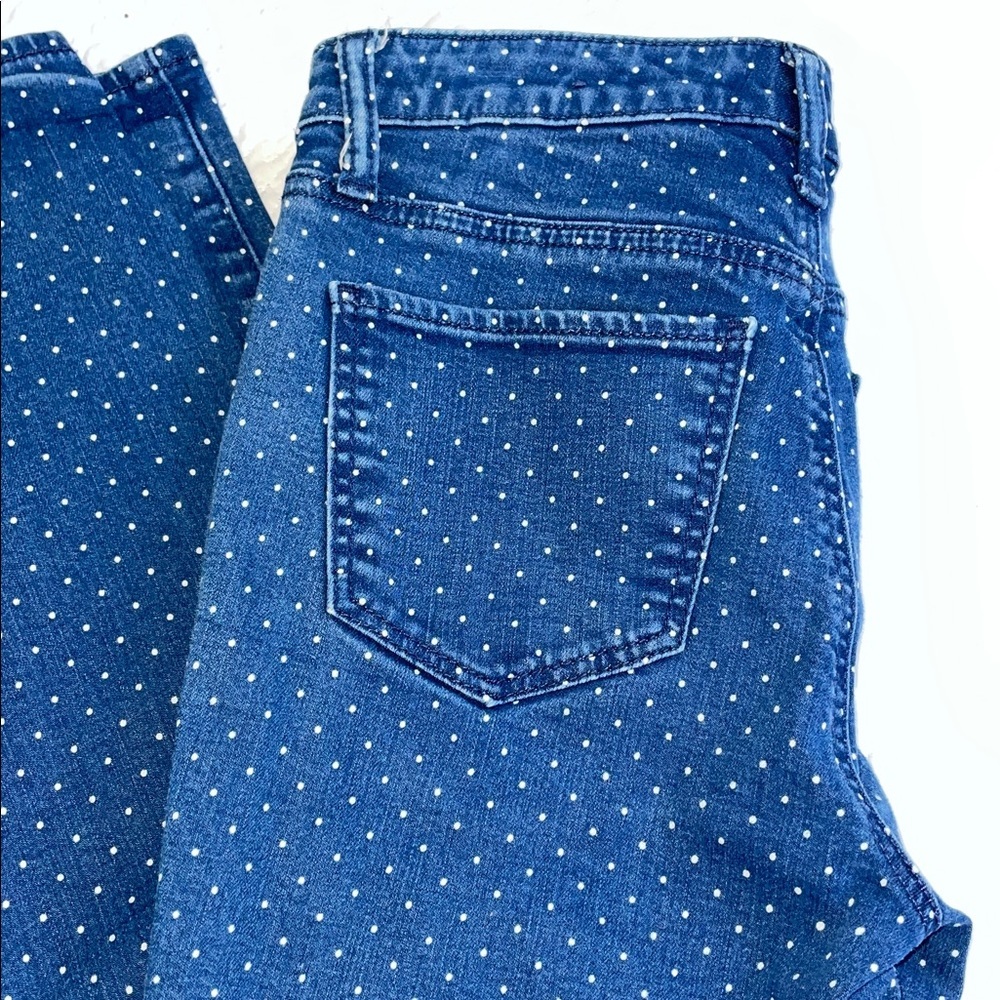 Women's Blue Polka Dot Jeans. Size 2P. Slim Ankle. Talbots Flawless.